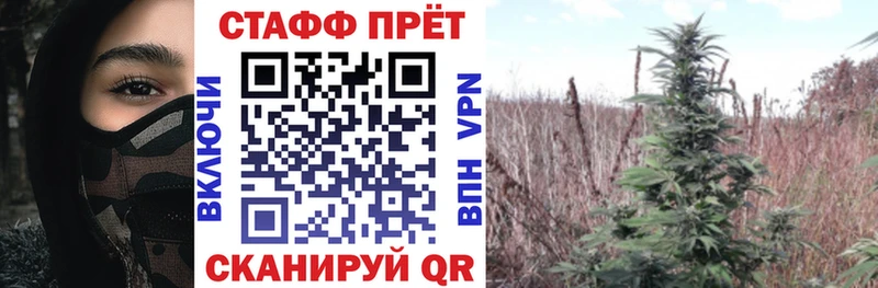 Хочу наркоту Шебекино Гашиш  Alpha PVP  гидра ONION  Мефедрон  АМФЕТАМИН 
