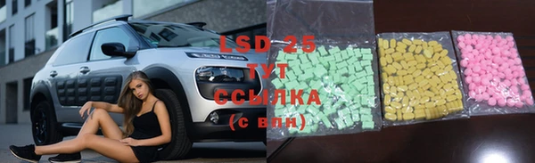 круглые Гусев