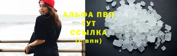 круглые Гусев