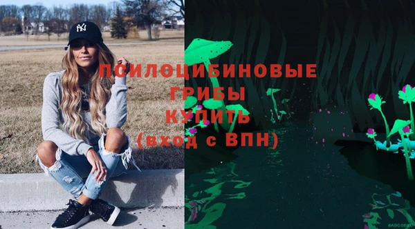 стафф Гусь-Хрустальный