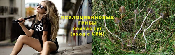 круглые Гусев