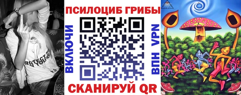 Псилоцибиновые грибы Psilocybine cubensis  omg ONION  Шебекино 